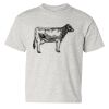 Heavy Cotton™ Youth T-Shirt Thumbnail