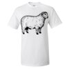 Ultra Cotton® T-Shirt Thumbnail